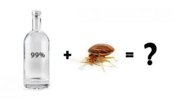 BOTHERED-BY-BED-BUGS-POURING-ALCOHOL-MAY-NOT-BE-THE-RIGHT-SOLUTION