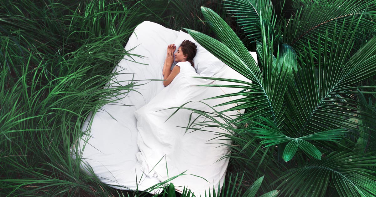 10 EcoFriendly Mattresses Ranked and Reviewed for 2022 Smartmattressbuy