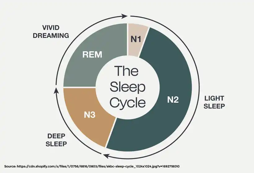 Importance of NREM Sleep Cycle | Sleep 2025