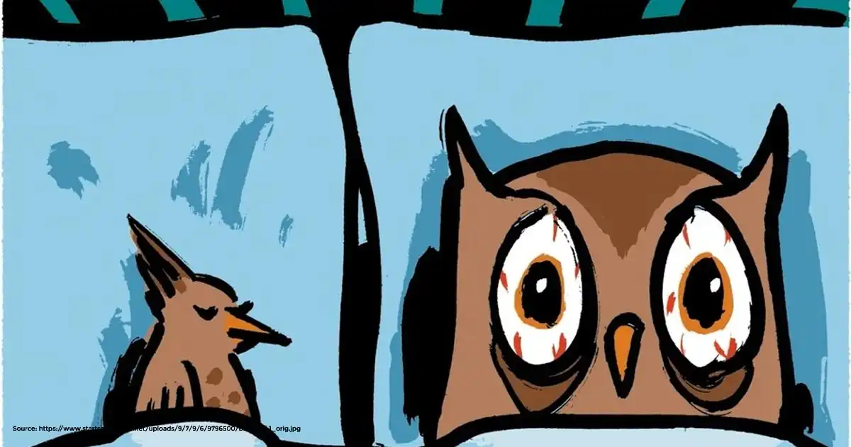 Are Millionaire Night Owls Wealthier? 